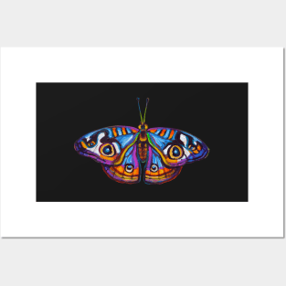 Amazon BUTTERFLY STICKER Posters and Art